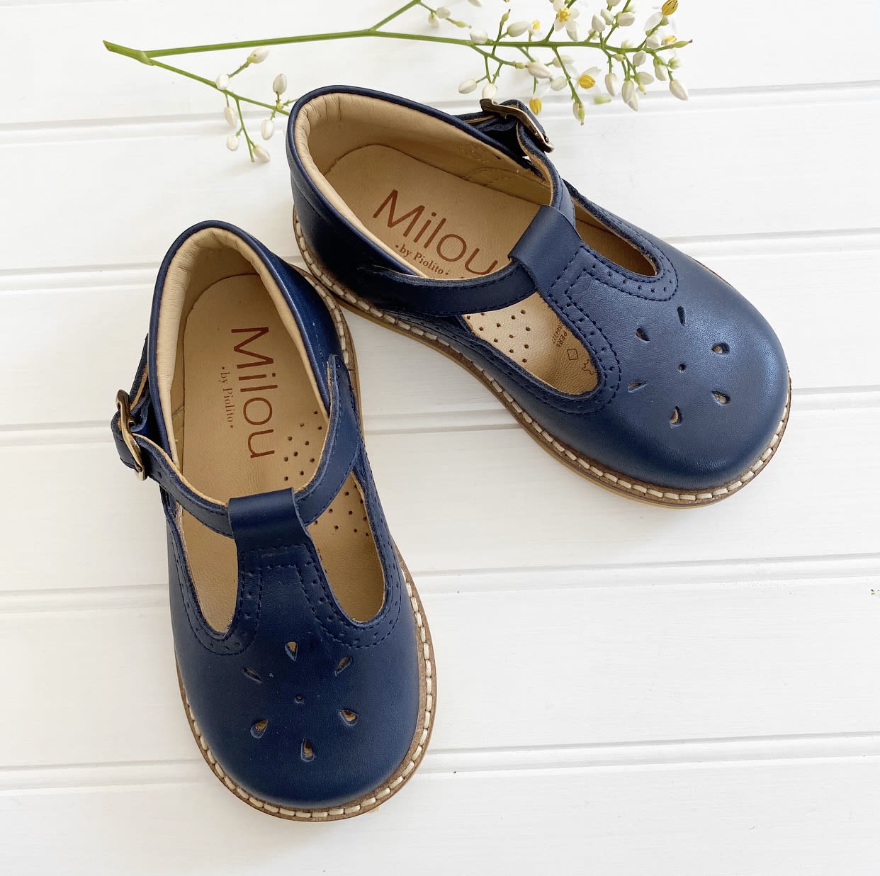 Zapato alicia azul