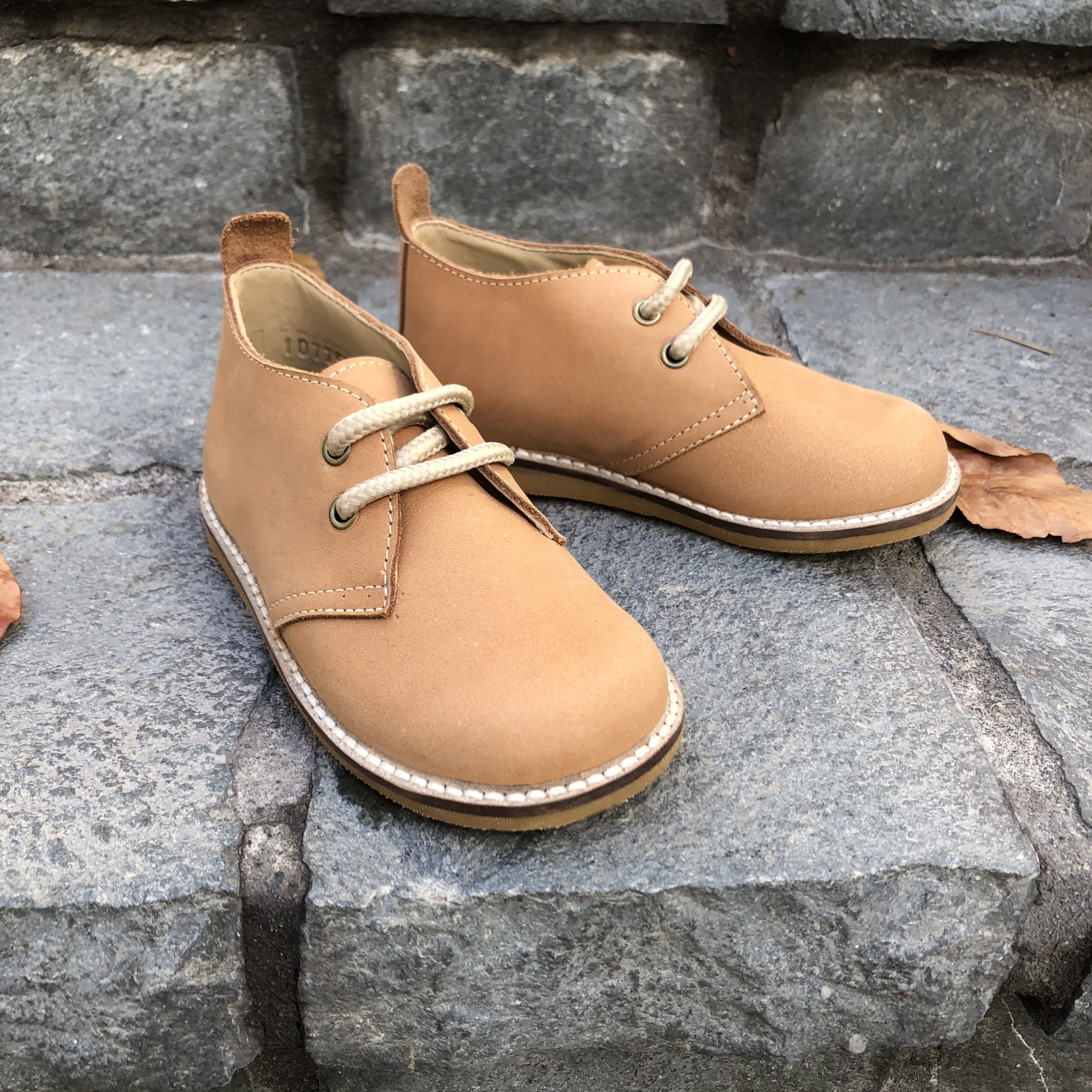 Botin nvo cord arena