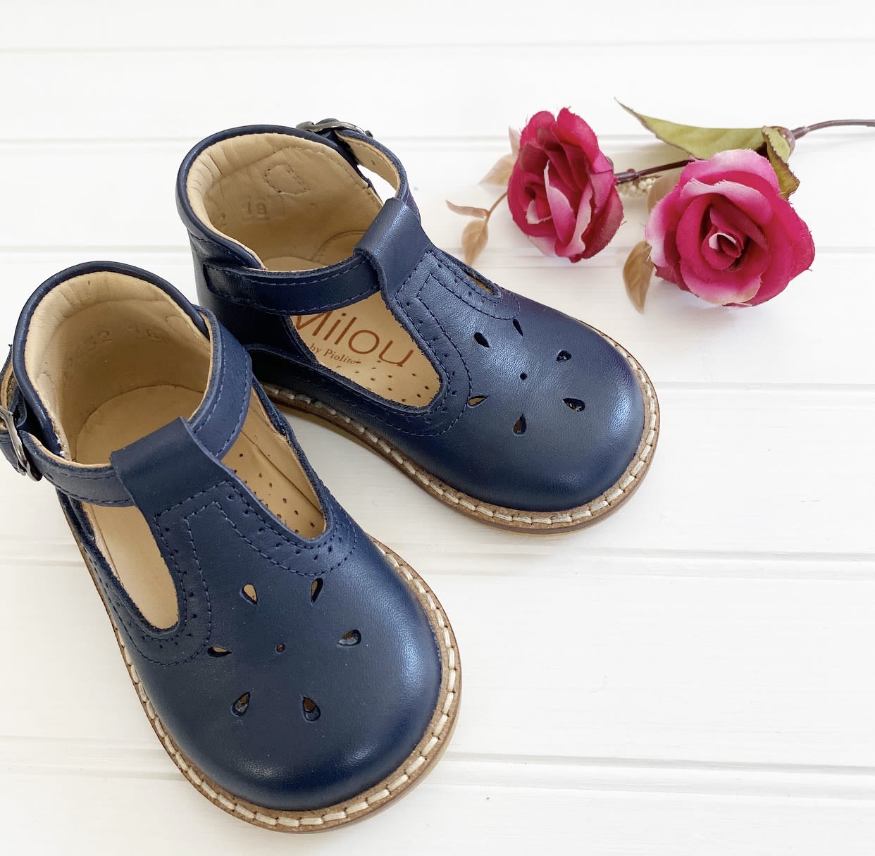 Zapato alicia azul