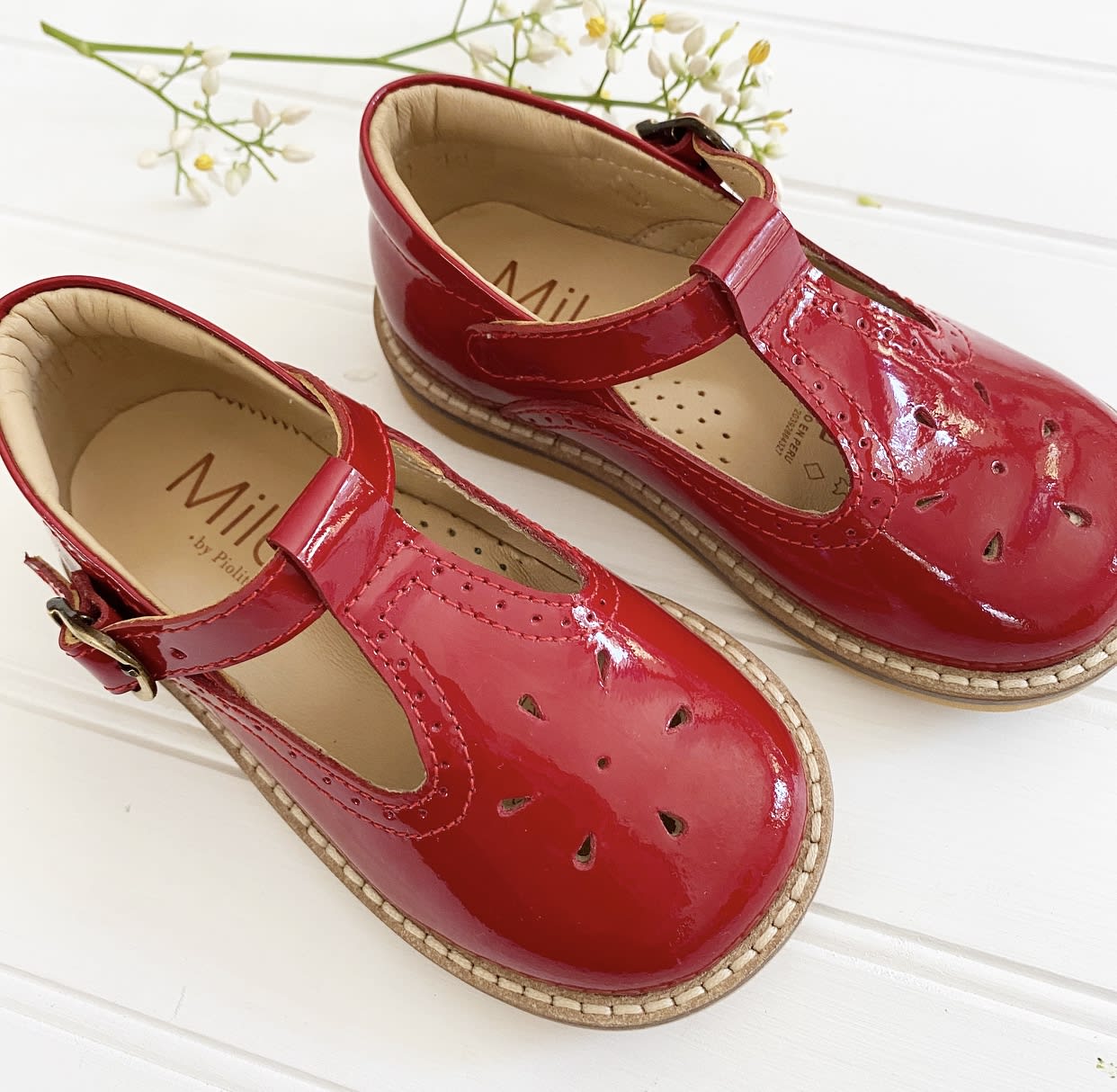 Zapato Alicia Charol Rojo