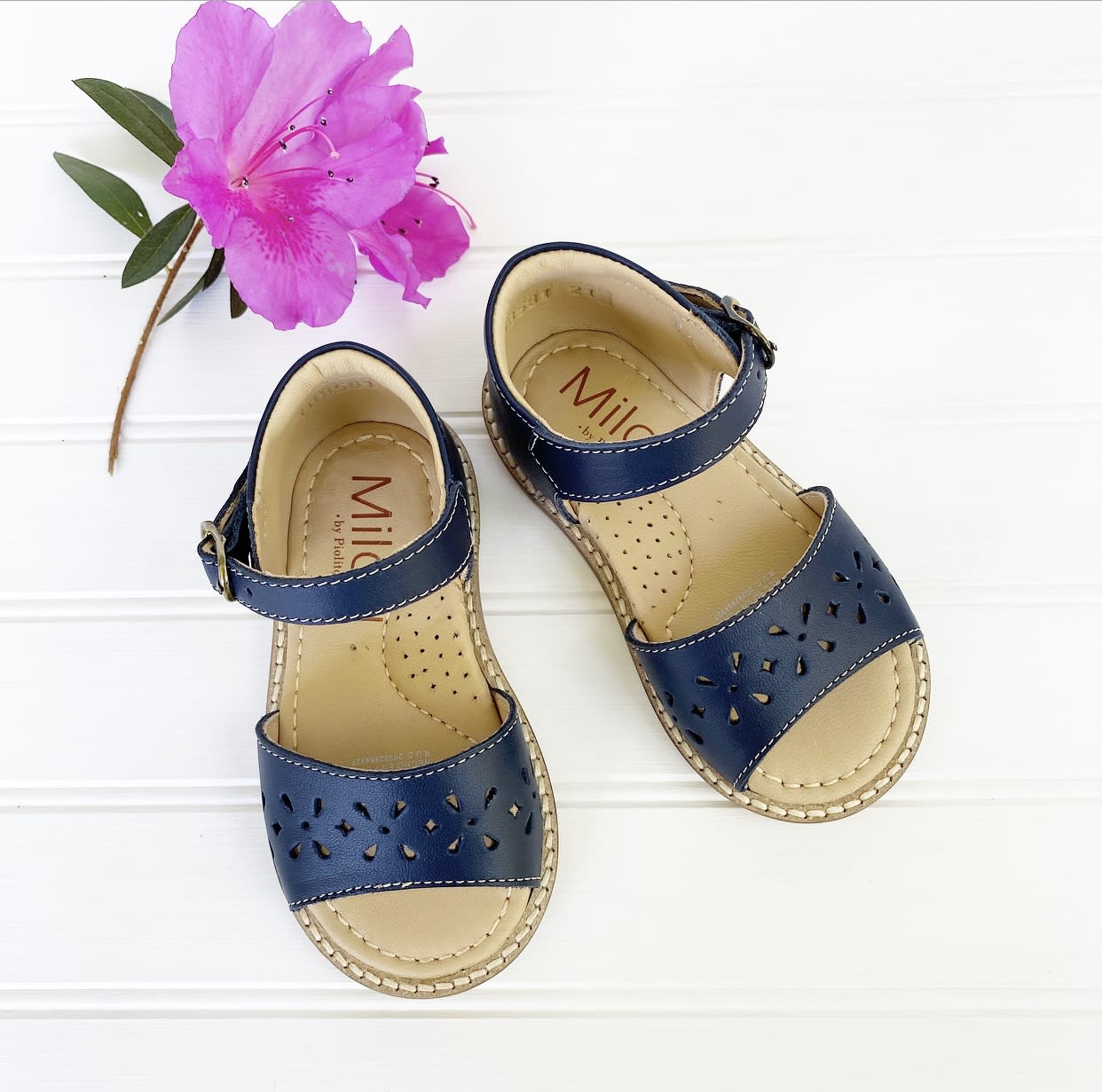 Chalita clasica azul