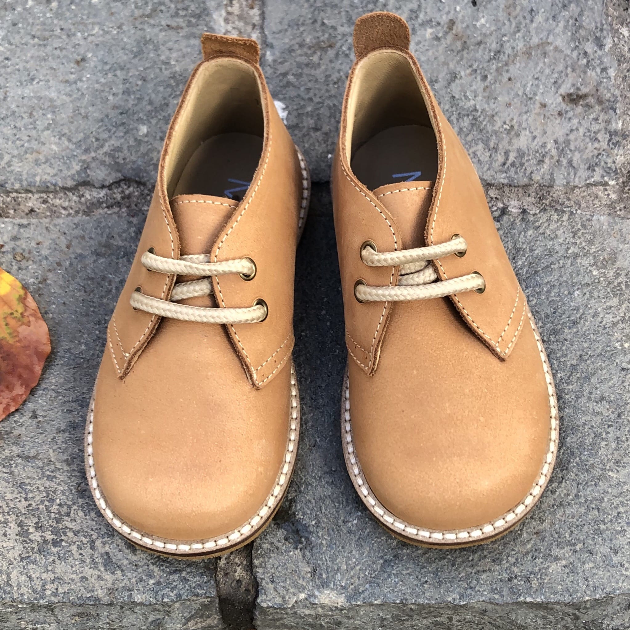 Botin nvo cord arena