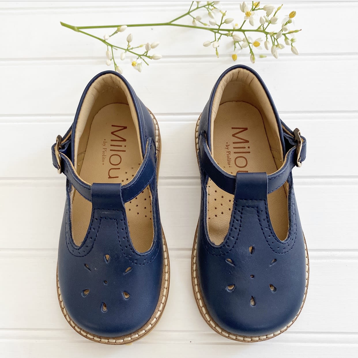 Zapato alicia azul
