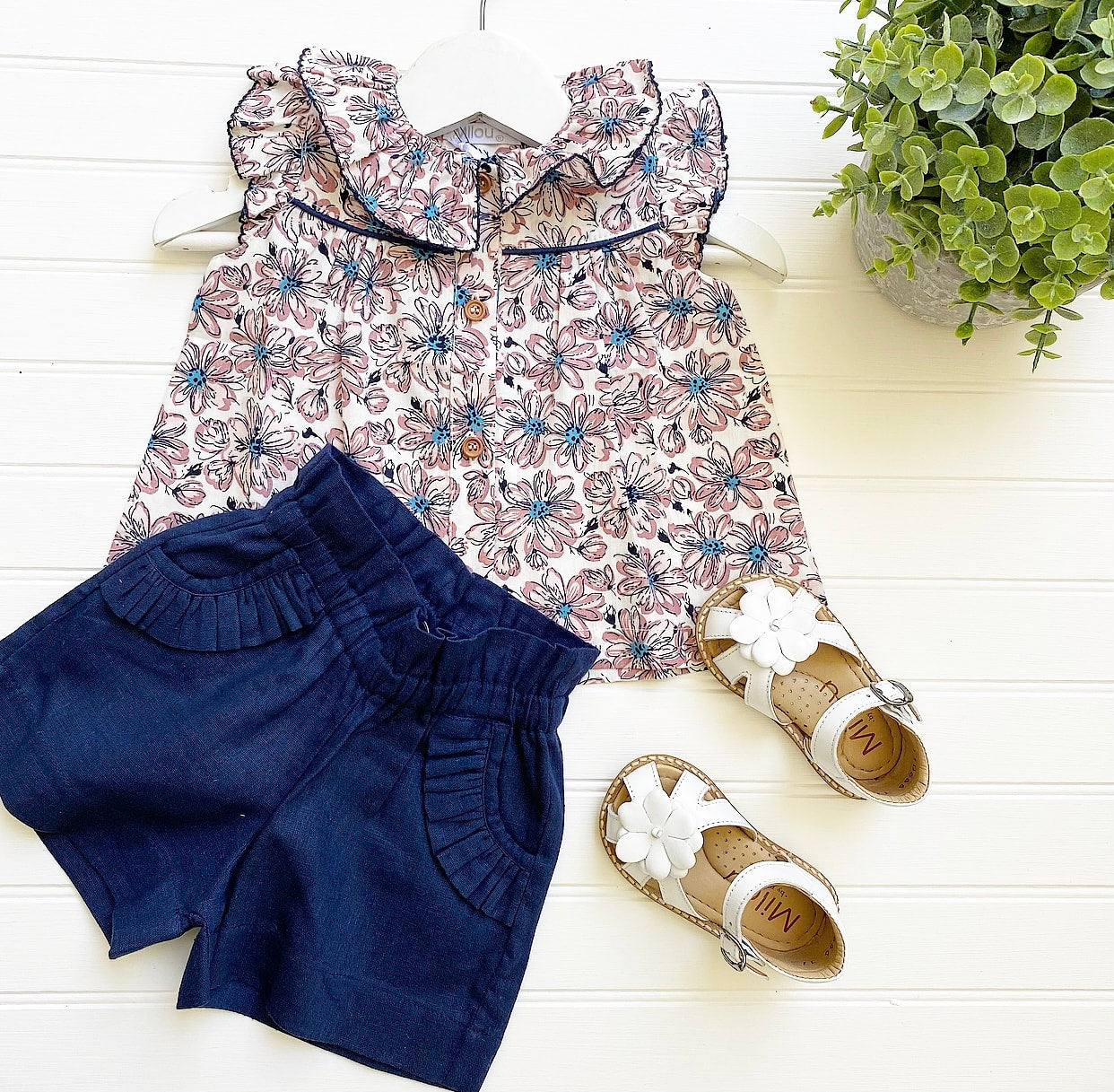 Blusa manuela plu m/c