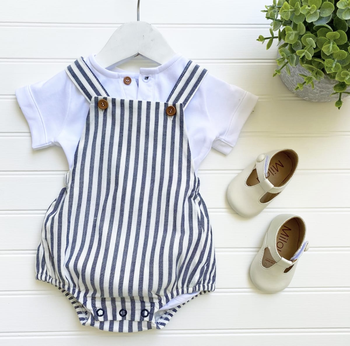 Ranita navy niño