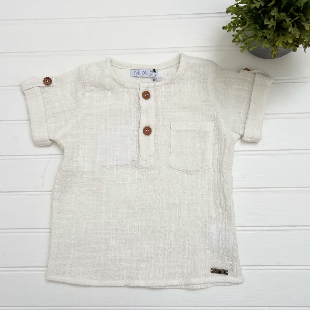 Camisa mao algodón