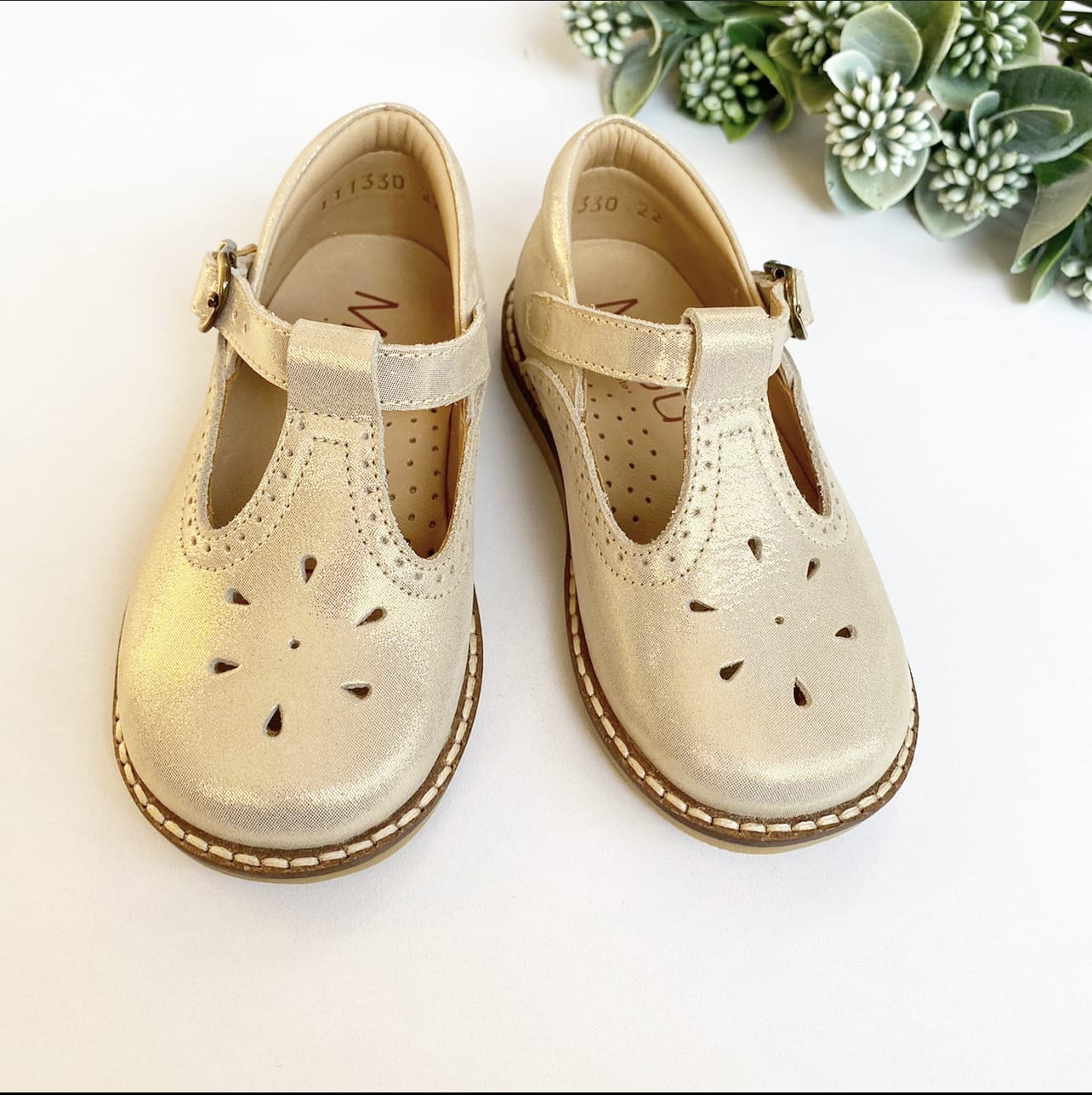 Zapato alicia dorado