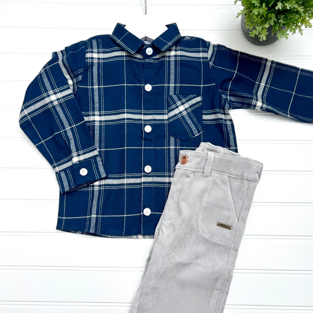Pantalon cotele gris