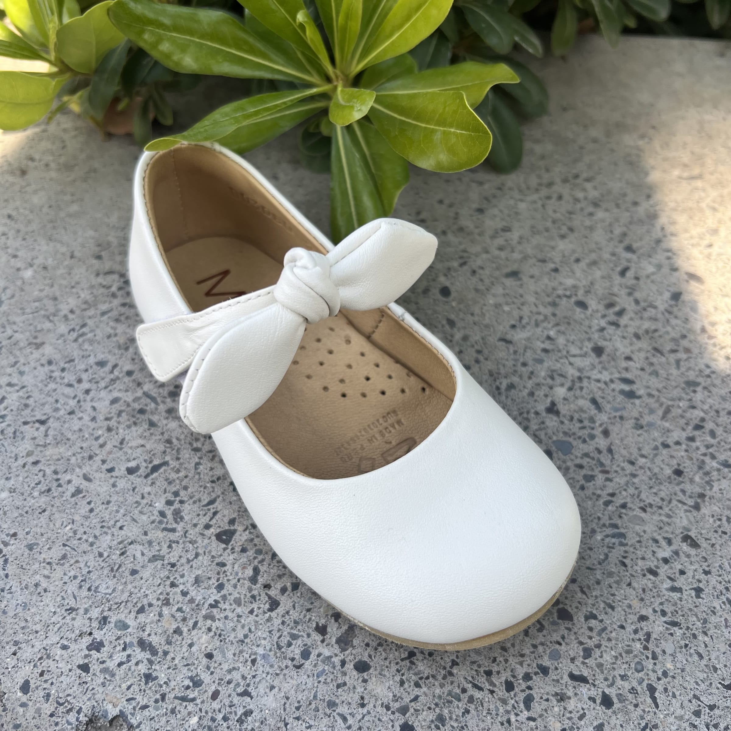 Balerina nudo hueso