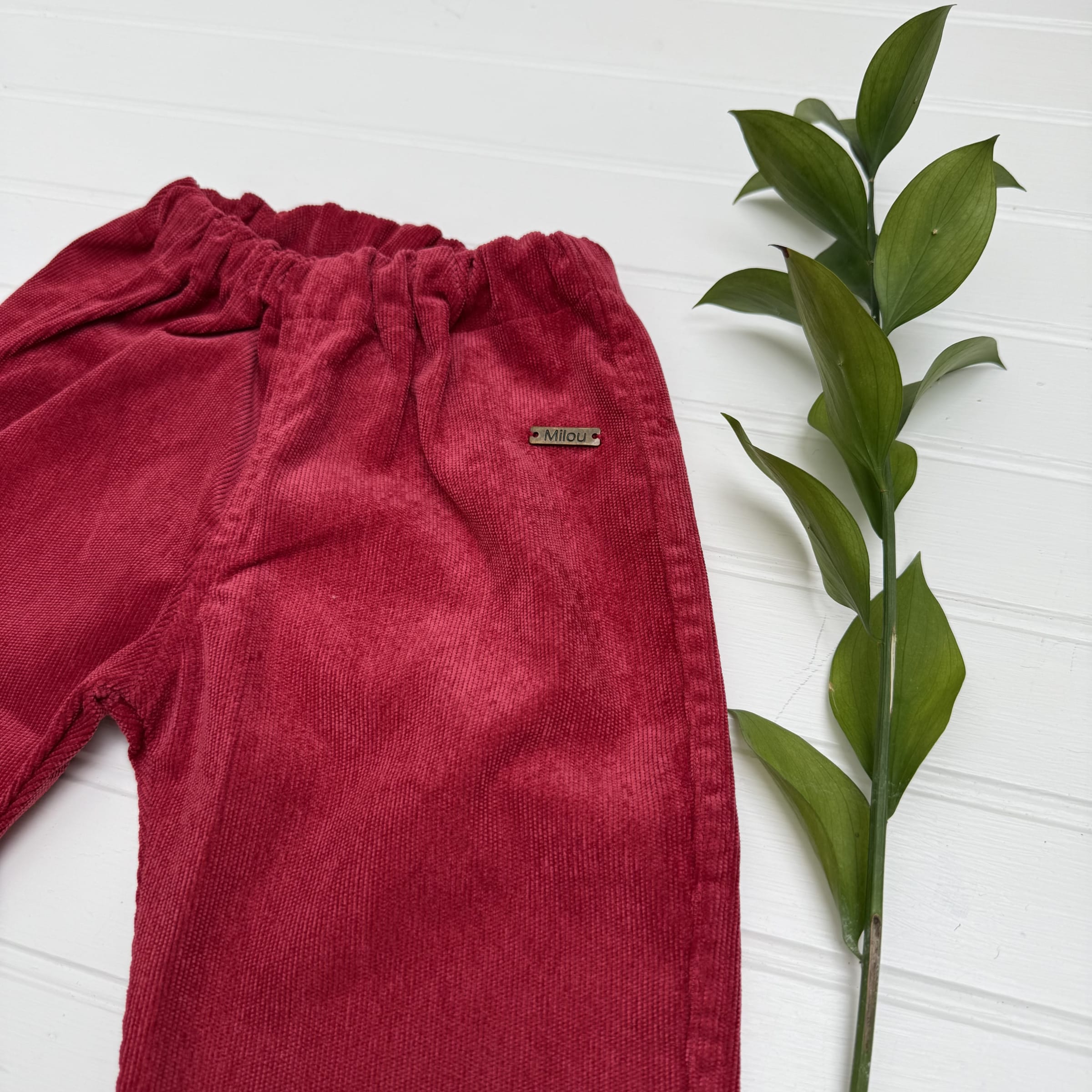 Pantalon baby cotele rojo