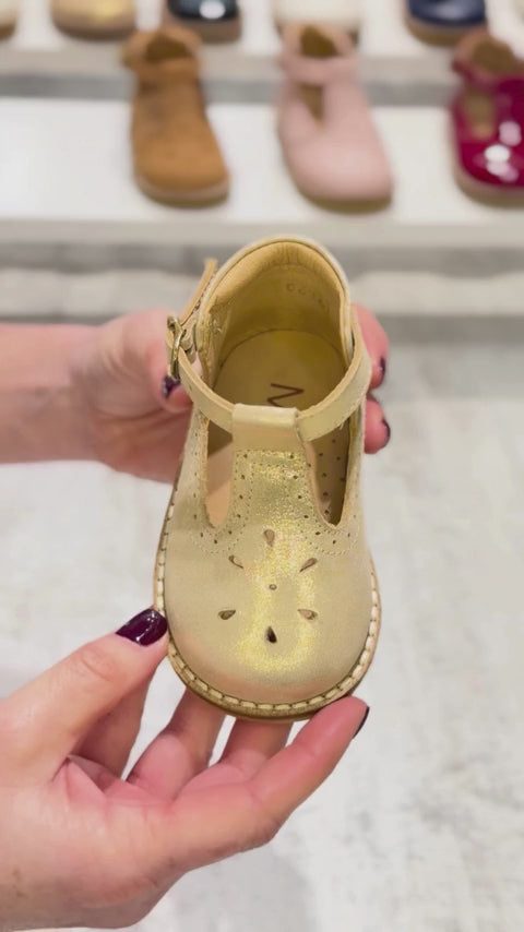 Zapato alicia dorado